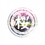 老司机开车APP应用